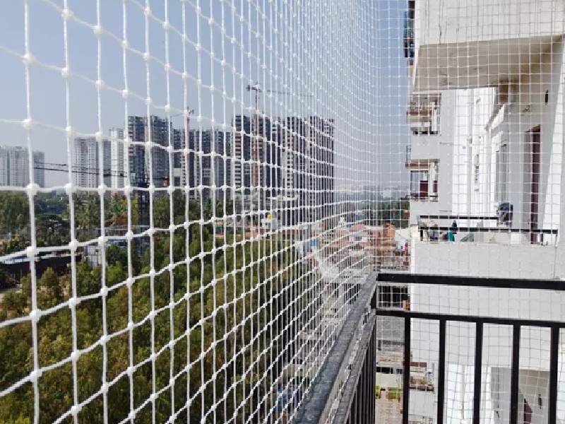 High-density pigeon nets installation for residential apartments in Chennai