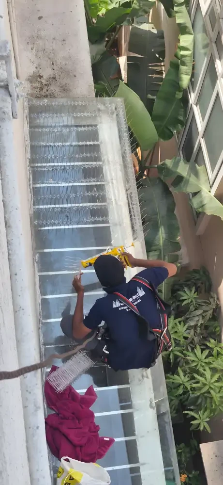 Terrace pigeon net