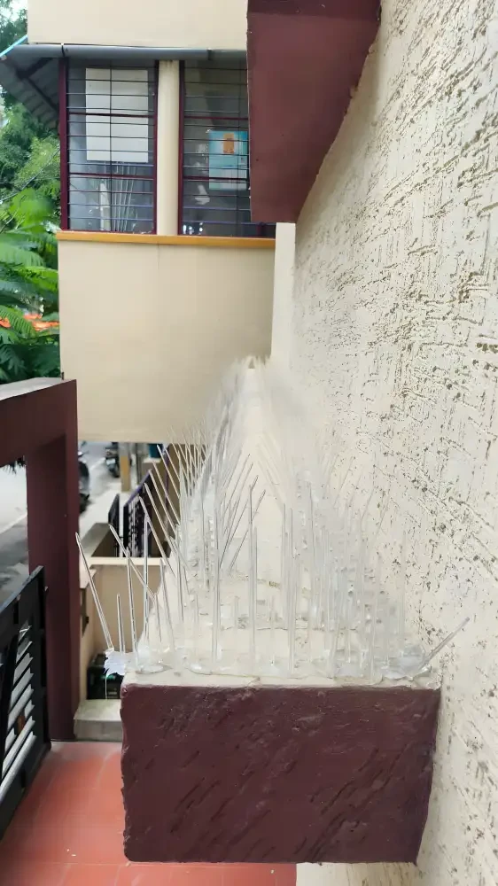 Commercial pigeon net Chennai
