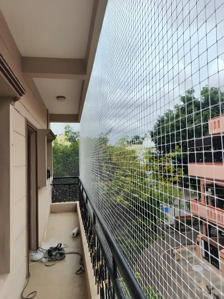 Window pigeon net