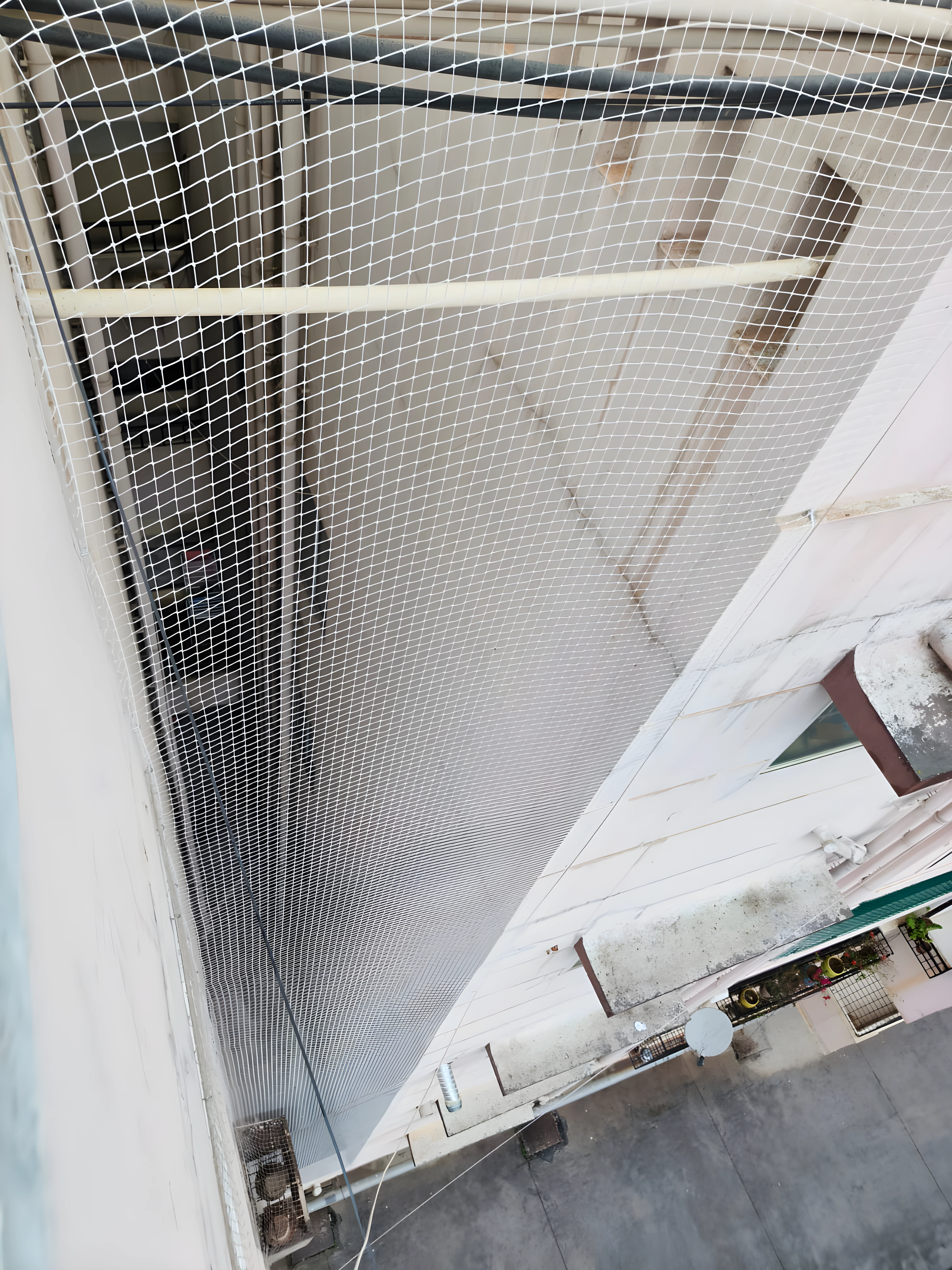 Pigeon netting Chennai