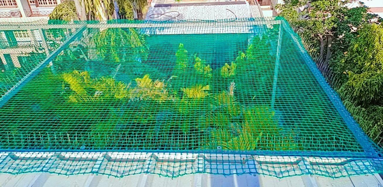 Terrace Pigeon Nets Chennai