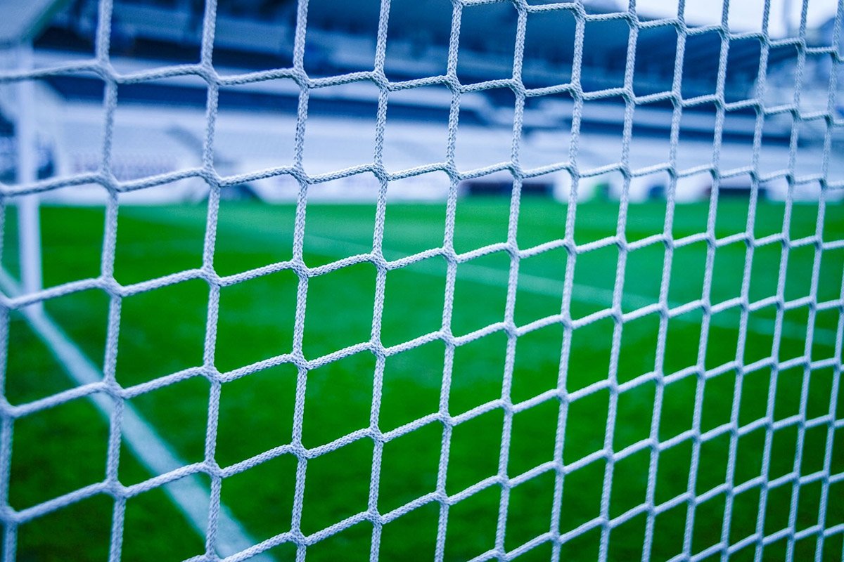 Professional Technician